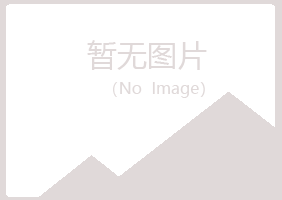 阳明区女孩媒体有限公司